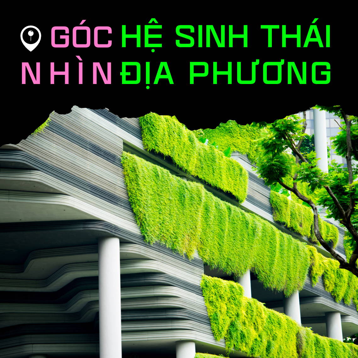 Các Góc Nhìn Về Hệ Sinh Thái Địa Phương